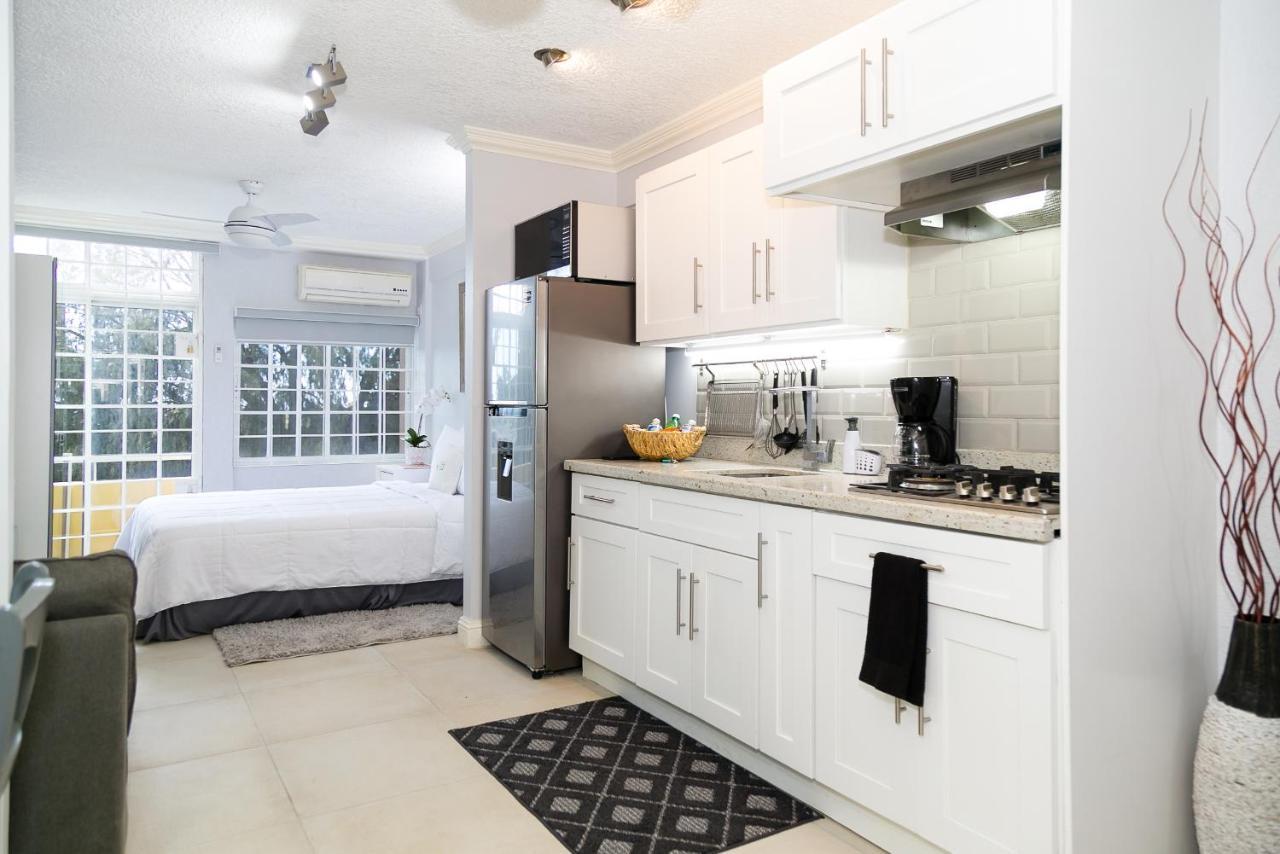 Choose To Be Happy At Seymour # 9 And #16 - Studio Apartments Kingston Luaran gambar